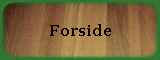 Forside